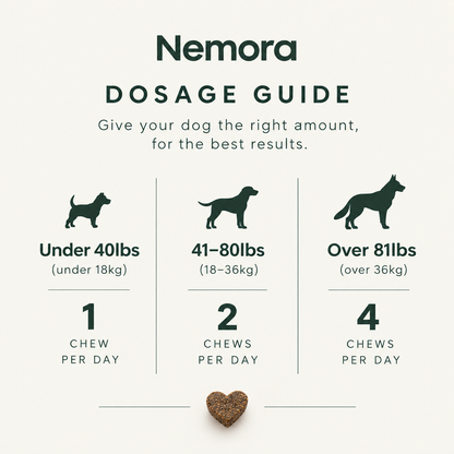ClearBark™ 2.0 - Dog Airway Support Chews